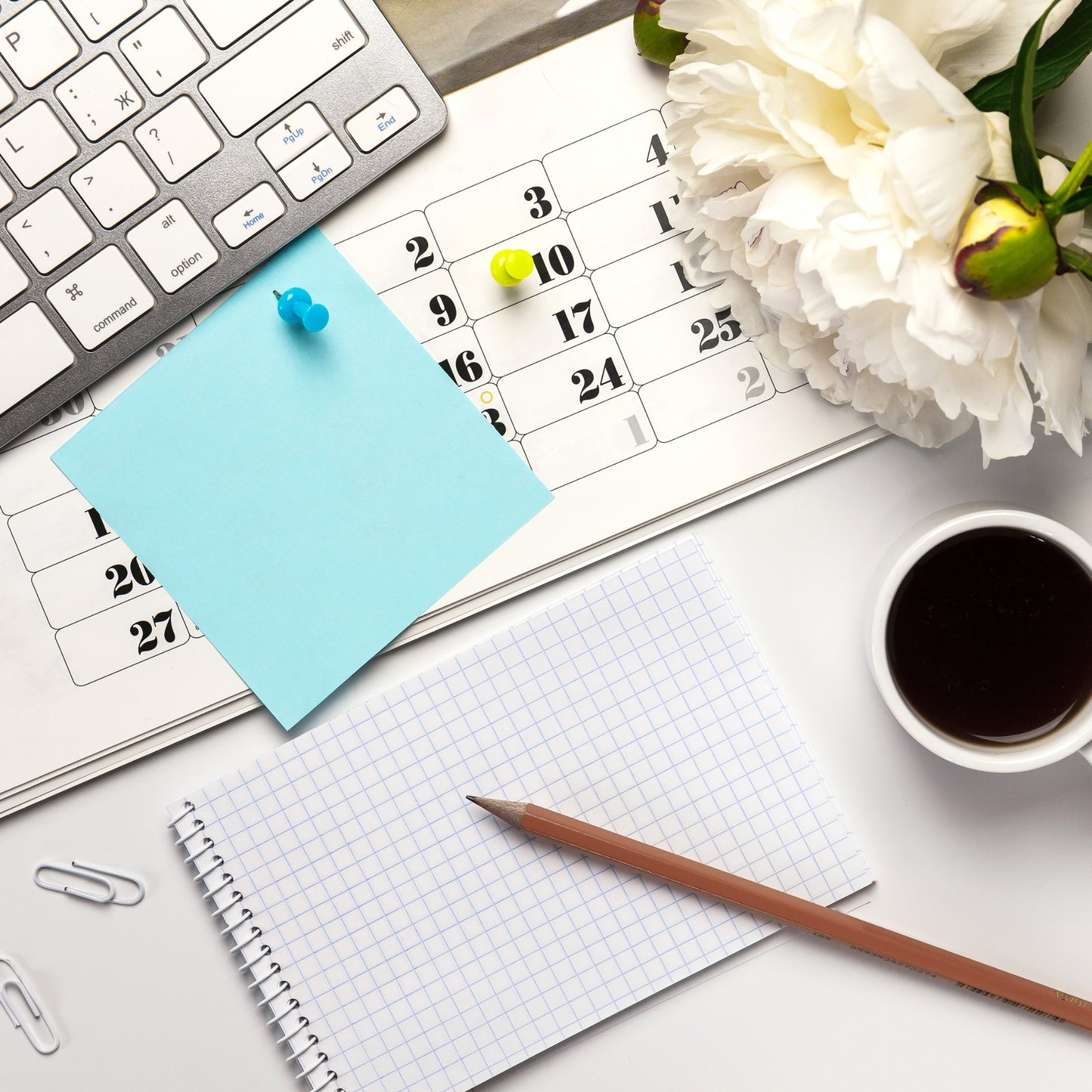 DIPLOMADO - SOCIAL EVENT PLANNER