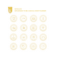 DIPLOMADO - SOCIAL EVENT PLANNER